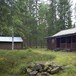 Svartskogkoia