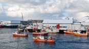 Fiskebåter i havna på Røst (Foto: Helge Lyngmoe/NRK)