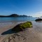 SOMMER I NORD: Nydelig sommerdag på Hauklandstrand, Vestvågøya, Lofoten. 