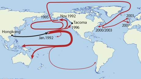 «Friendly floatees» sin rute (Foto: Wikipedia Commons) «Friendly floatees» sin rute (Foto: Wikipedia Commons)