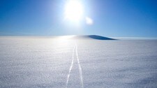 Josten på langs skispor (Foto: Jarle Trå)