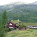 Skogadalsbøen