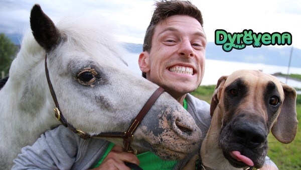 Dyrevenn