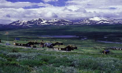 Storhøliseter