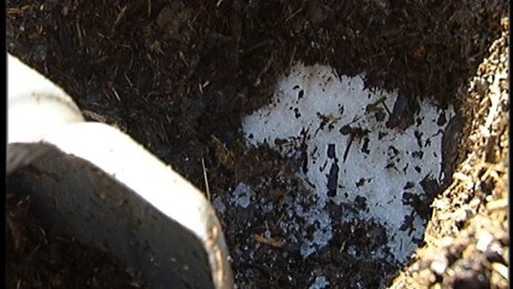 Snø under bark på Rena (Foto: Jørn Nordli/NRK)
