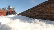 Krise i skogbruket - Skogbruket på Agder kan miste flere hundre arbeidsplasser. Etter at flere mottakere av tremasse på Østlandet har gått konkurs, er det vanskeligere enn noen gang å leve av skogen.