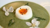 Brenneslesuppe (Foto: Tone Rieber-Mohn/NRK) Brenneslesuppe (Foto: Tone Rieber-Mohn/NRK)