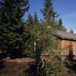 Skarsvassbu