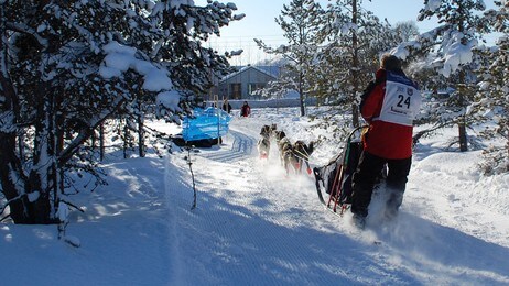 Finnmarksløpet 2010 (Foto: Rune Nordgård Andreassen) Finnmarksløpet 2010 (Foto: Rune Nordgård Andreassen)