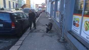  Osterhaus' street - Police unders & # XF8; increased area & # xE5; it around where the stabbing occurred. The victim should not v & # xE6; re fatal injured. - Photo: Knut Erik Solhoug / NRK 