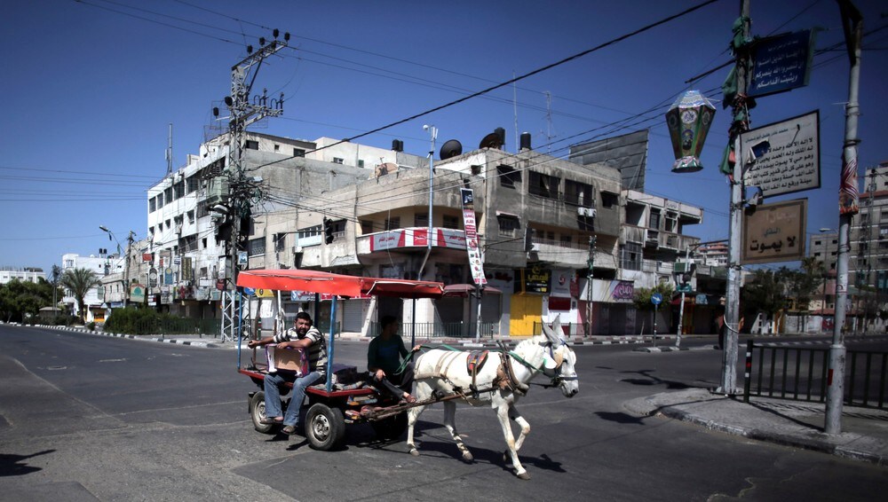 Palestinsk mann kjører esel i Gaza by - En palestinsk mann tar seg gjennom Gaza by ved hjelp av esel. På grunn av den manglende økonomiske utviklingen under den israelske okkupasjonen og årene med selvstyre, så er esler et vanlig fremkomstmiddel på Gazastripen. - Foto: Khalil Hamra / Ap