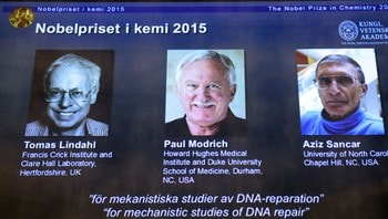 Tomas Lindahl, Paul Modrich og Aziz Sancar fikk Nobelprisen i kjemi.
