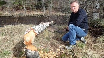 IxKnlMARG2FgXWMrqj7PEwojM70ArIf_5CgEhSa3cPFw