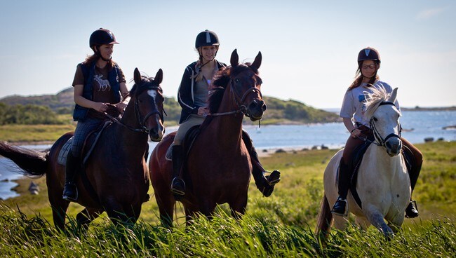 Tøffe hestejenter i "Til siste hinder" - I 2012 vant Kathrine Haugen Amandapris for filmen 'Til siste hinder'. - Foto: Star Media Entertainment / 