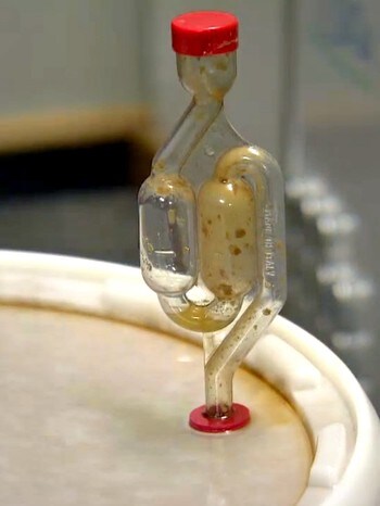 Øl etter tre dager - Regn med å betale mellom 1500 og 2000 kroner for et ølsett for nybegynnere. - Foto: Petter Nielsen / NRK