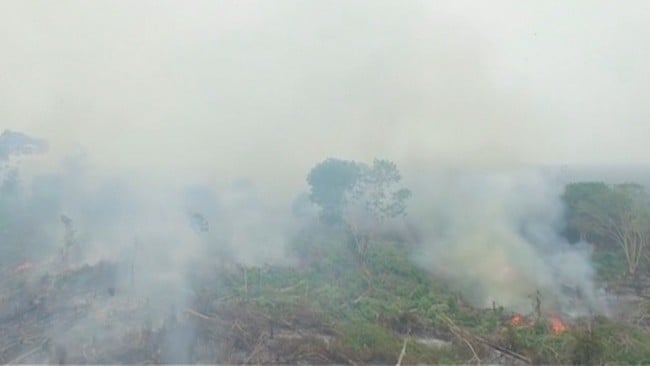 Thailands president ber om gjelp til å takle de voldsomme skogbrannene i Indonesia.