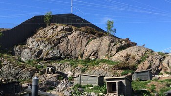 Hekkeområdet til pingvinane ved Atlanterhavsparken