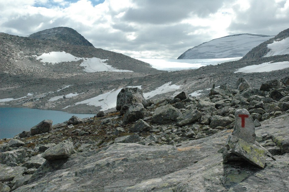 Fortundalsbreen