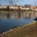 Tveitevannet
