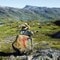 Løypene i Hellemobotn er merket Løypene i Hellemobotn er merket