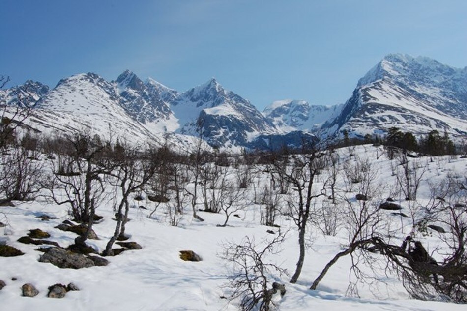Utsikt mot Lyngsalpene rett ovenfor hytta