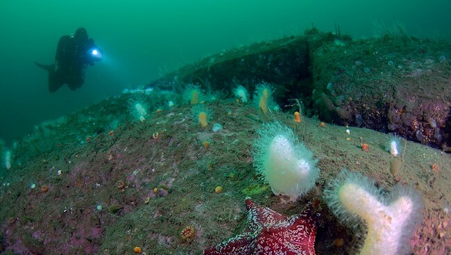 vinterdykk (Foto: Wenche Strand/Den Norske Turistforening)
