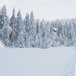 Snart framme ved Sørmyrseter