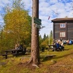 Brunkollen