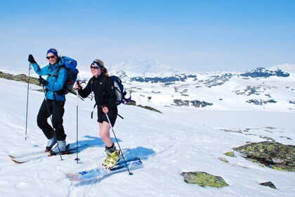 Oppe på topp-platået. Hurrungane i bakgrunnen.