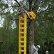 Sommerferieleir på Sæteren Gård 2007