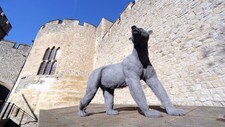 Royal Beasts at Tower of London (Foto: Trygve Sørvaag, Scandinavian Pre/Trygve Sørvaag (SPA))