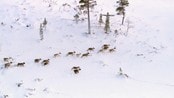 Eventyrlige Lierne - Del 1 fra En naturlig helaften