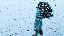 Paraply i regn (Foto: JENS MEYER/AP) Paraply i regn (Foto: JENS MEYER/AP)