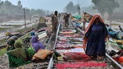 Flom i Pakistan
