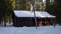Svartskogkoia