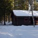 Svartskogkoia