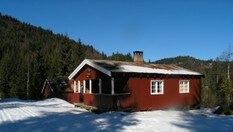 Smedmyrkoia