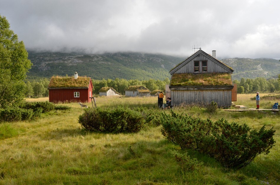 Bleskestadmoen i morgendis