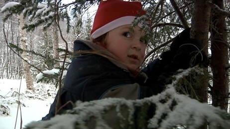 Olliver henter juletre (NRK) Olliver henter juletre (NRK)