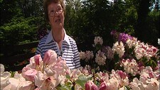 Eksotiske blomster i Norge