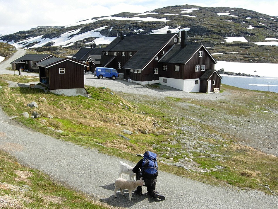 Geiterygghytta, Skarvheimen
Juni 2011
