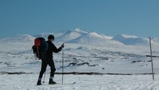 På tur fra Bjørneggen mot Storerikvollen. Sylmassivet i bakgrunnen.
