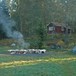 Lavvo og Spettesmia på Sæteren Gård