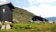 Tjørnbrotbu