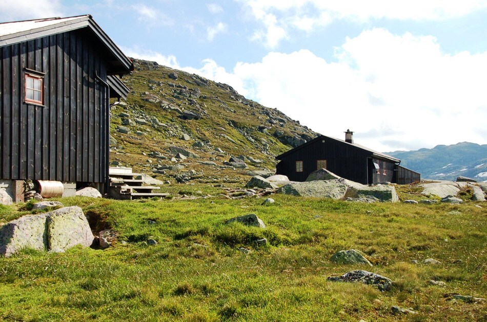 Tjørnbrotbu