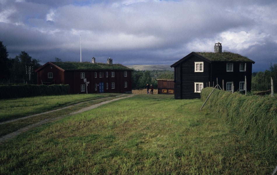 Svukuriset