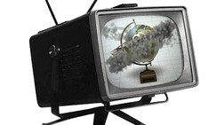 Planeten i nett-tv