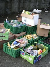 Frukt på søppeldynga (NRK) Frukt på søppeldynga (NRK)