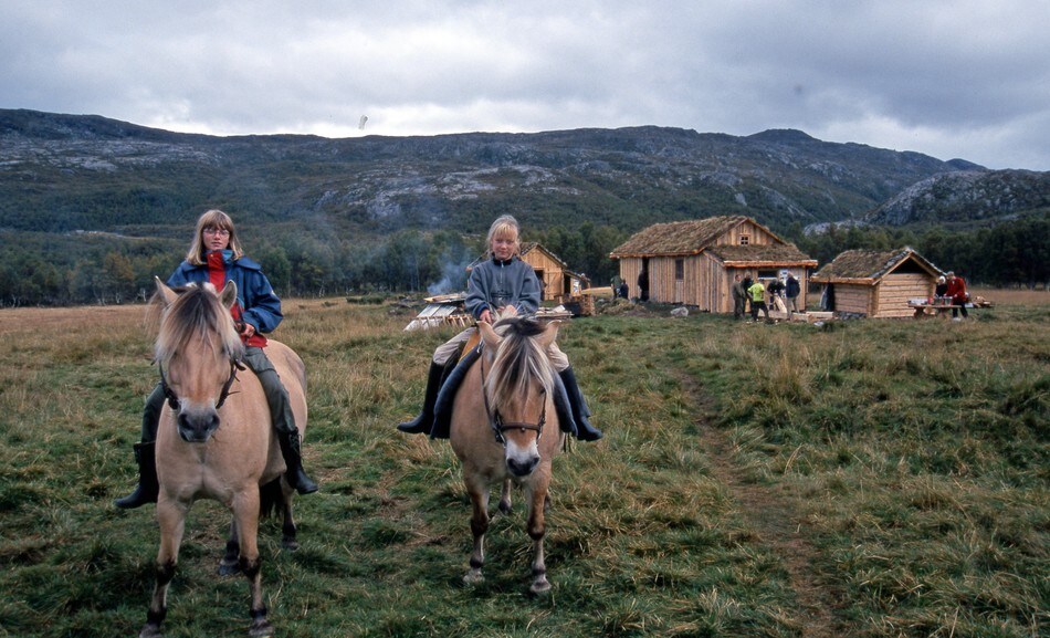 Den første hytta på Bleskestadmoen ble bygget i 1891. Mange av ferdselsveiene mellom Suldal og Setesdal gikk forbi her, og da brukte de ofte hest.