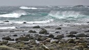 Fjærvolløyra, Bø i Vesterålen 9. februar 2012.